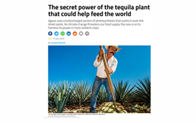New Scientist Superplants article